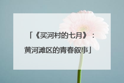 《买河村的七月》：黄河滩区的青春叙事
