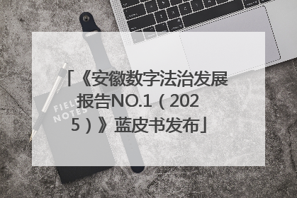 《安徽数字法治发展报告NO.1（2025）》蓝皮书发布