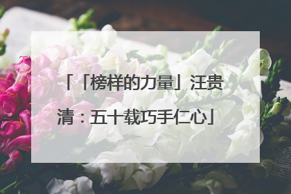 「榜样的力量」汪贵清：五十载巧手仁心