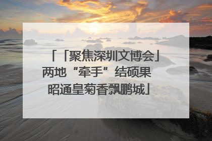 「聚焦深圳文博会」两地“牵手”结硕果 昭通皇菊香飘鹏城