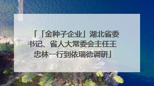 「金种子企业」湖北省委书记、省人大常委会主任王忠林一行到依瑞德调研