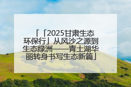 「2025甘肃生态环保行」从风沙之源到生态绿洲——青土湖华丽转身书写生态新篇
