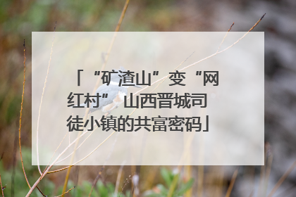 “矿渣山”变“网红村” 山西晋城司徒小镇的共富密码