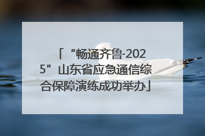 “畅通齐鲁·2025”山东省应急通信综合保障演练成功举办