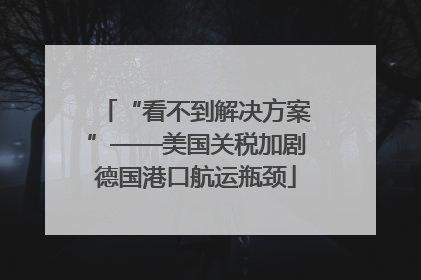 “看不到解决方案”——美国关税加剧德国港口航运瓶颈