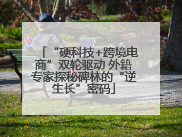“硬科技+跨境电商”双轮驱动 外籍专家探秘碑林的“逆生长”密码