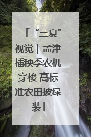 “三夏”视觉｜孟津插秧季农机穿梭 高标准农田披绿装