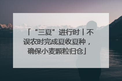 “三夏”进行时丨不误农时完成夏收夏种，确保小麦颗粒归仓