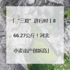 “三夏”进行时丨866.27公斤！河北小麦亩产创新高