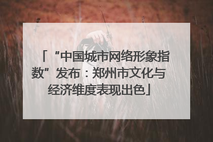 “中国城市网络形象指数”发布：郑州市文化与经济维度表现出色