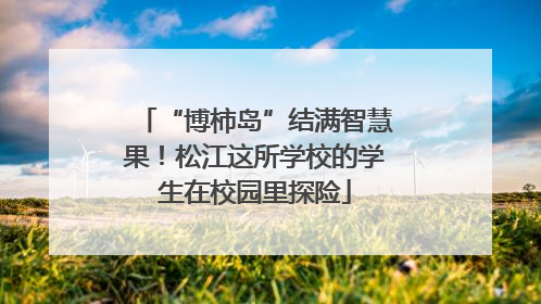 “博柿岛”结满智慧果！松江这所学校的学生在校园里探险