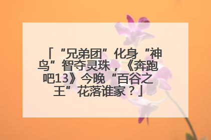 “兄弟团”化身“神鸟”智夺灵珠，《奔跑吧13》今晚“百谷之王”花落谁家？