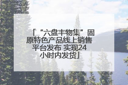 “六盘丰物集”固原特色产品线上销售平台发布 实现24小时内发货