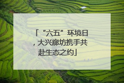 “六五”环境日，大兴廊坊携手共赴生态之约