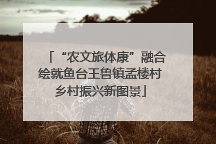 “农文旅体康”融合绘就鱼台王鲁镇孟楼村乡村振兴新图景