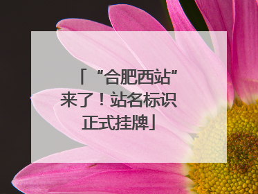 “合肥西站”来了！站名标识正式挂牌