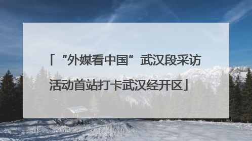 “外媒看中国”武汉段采访活动首站打卡武汉经开区