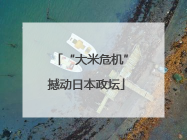 “大米危机”撼动日本政坛