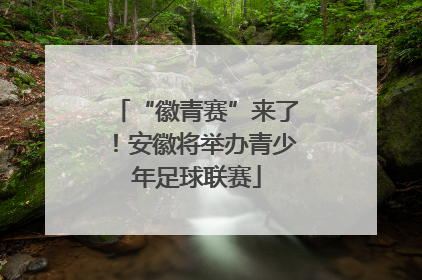 “徽青赛”来了！安徽将举办青少年足球联赛