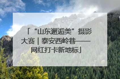 “山东邂逅美”摄影大赛｜泰安西岭巷——网红打卡新地标