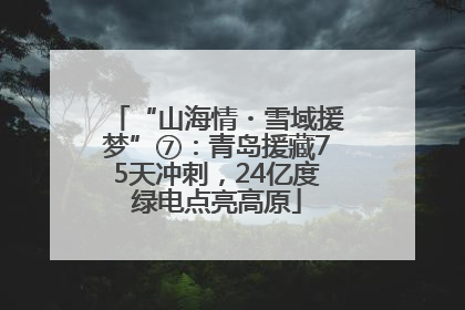 “山海情・雪域援梦”⑦：青岛援藏75天冲刺，24亿度绿电点亮高原