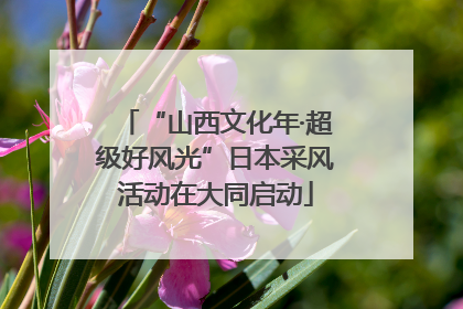 “山西文化年·超级好风光”日本采风活动在大同启动