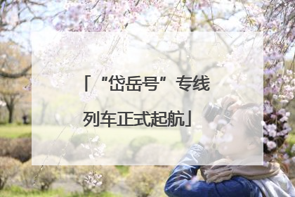 “岱岳号”专线列车正式起航