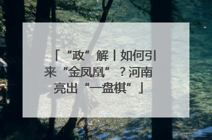 “政”解丨如何引来“金凤凰”？河南亮出“一盘棋”