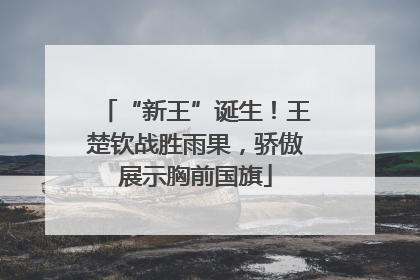 “新王”诞生！王楚钦战胜雨果，骄傲展示胸前国旗