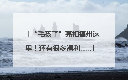“毛孩子”亮相福州这里！还有很多福利……
