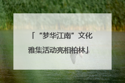 “梦华江南”文化雅集活动亮相柏林