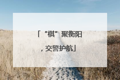 “棋”聚衡阳，交警护航