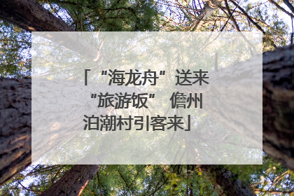 “海龙舟”送来“旅游饭” 儋州泊潮村引客来