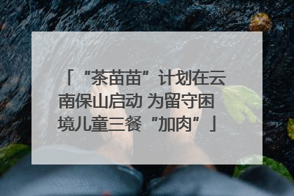 “茶苗苗”计划在云南保山启动 为留守困境儿童三餐“加肉”