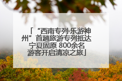 “西南专列·乐游神州”首趟旅游专列抵达宁夏固原 800余名游客开启清凉之旅
