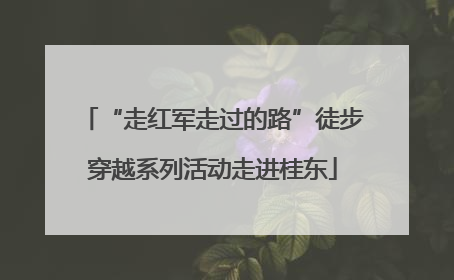 “走红军走过的路”徒步穿越系列活动走进桂东