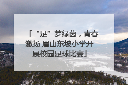 “足”梦绿茵，青春激扬 眉山东坡小学开展校园足球比赛