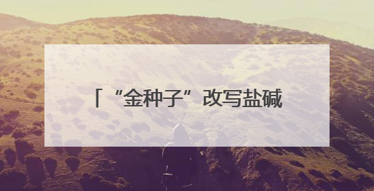 “金种子”改写盐碱地产粮史——“齐民27号”创黄河三角洲亩产1200斤奇迹