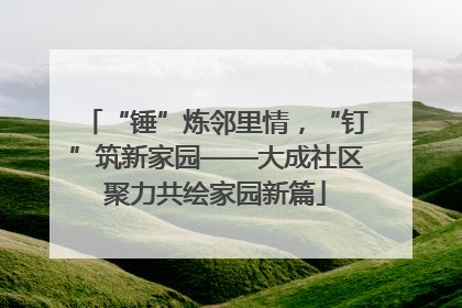 “锤”炼邻里情，“钉”筑新家园——大成社区聚力共绘家园新篇
