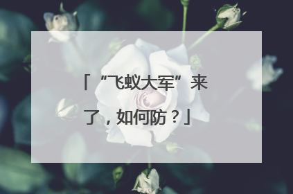 “飞蚁大军”来了，如何防？
