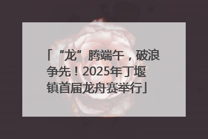 “龙”腾端午，破浪争先！2025年丁堰镇首届龙舟赛举行