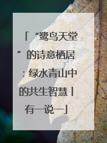 “鹭鸟天堂”的诗意栖居：绿水青山中的共生智慧丨有一说一
