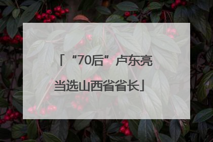 “70后”卢东亮当选山西省省长