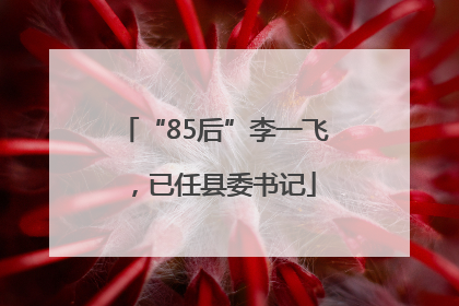 “85后”李一飞，已任县委书记