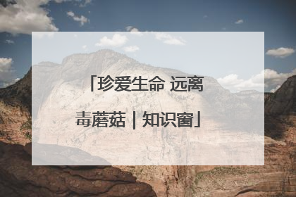 珍爱生命 远离毒蘑菇｜知识窗