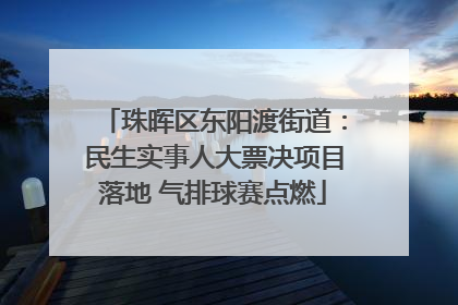 珠晖区东阳渡街道：民生实事人大票决项目落地 气排球赛点燃