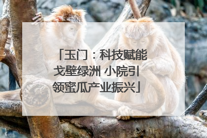 玉门：科技赋能戈壁绿洲 小院引领蜜瓜产业振兴