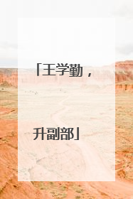 王学勤，升副部