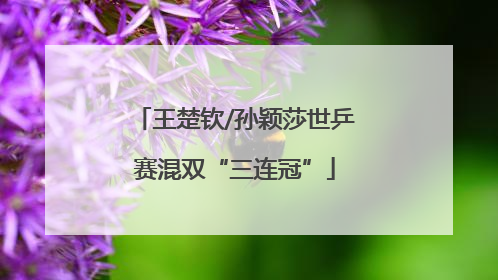 王楚钦/孙颖莎世乒赛混双“三连冠”