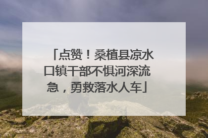 点赞！桑植县凉水口镇干部不惧河深流急，勇救落水人车